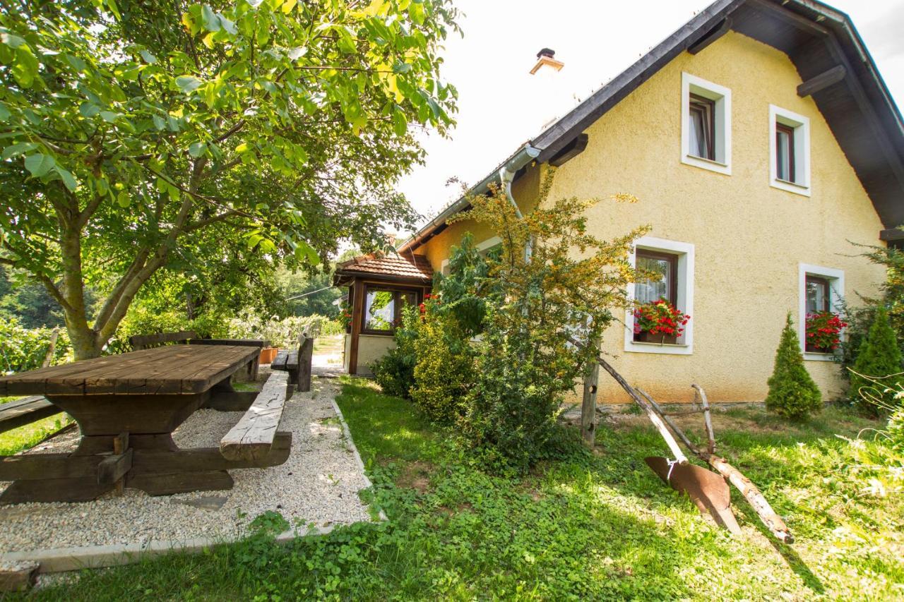 Holiday Home Juricko With Private Sauna Bizeljsko Exteriér fotografie